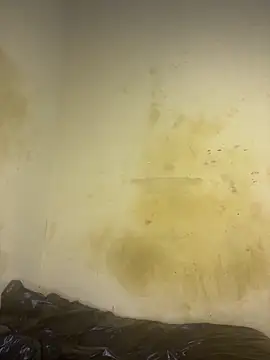 AngelaZamera Live XXX-chat