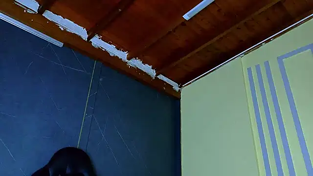 ALANNFERRER 现场XXX聊天