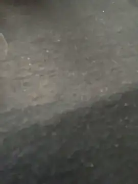 دردشة AnitaFly الجنسية المباشرة