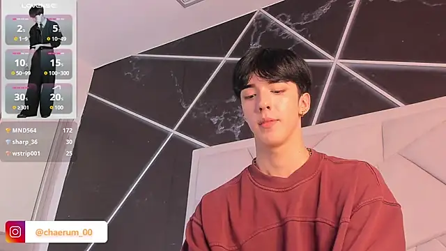 AerumChae 网络视讯表演