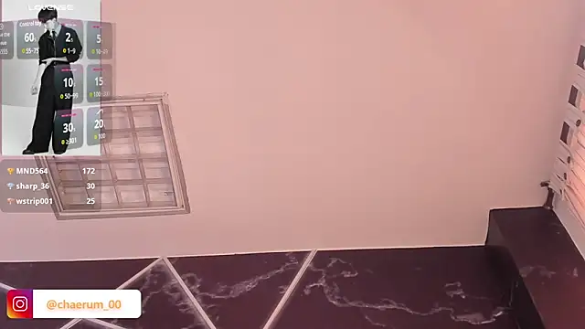 AerumChae Show Webcam