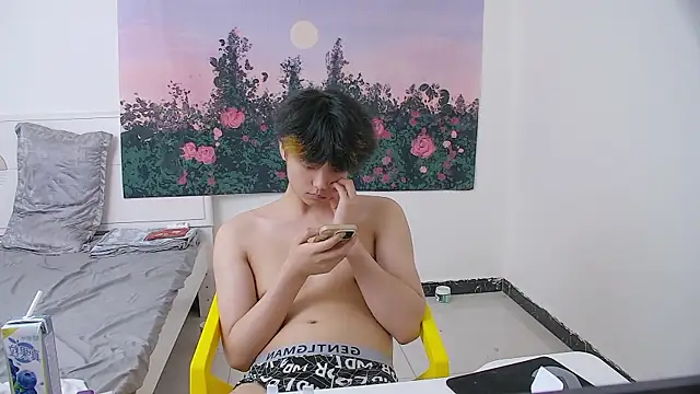 icecream-002 Show Webcam