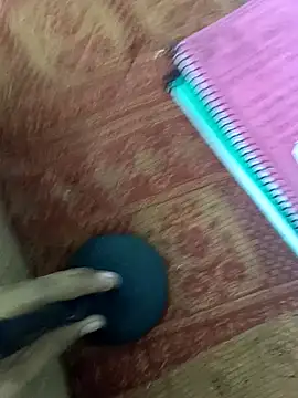 For_realmeetn Webbikameraesitys