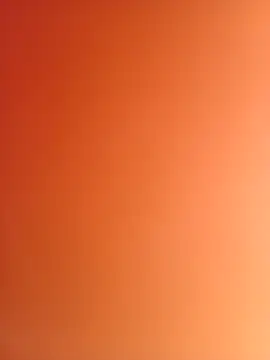 rexflexxxn Webbikameraesitys