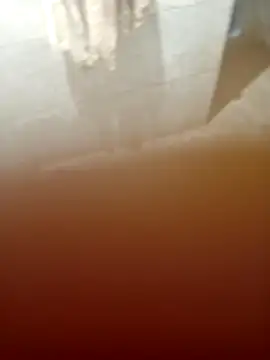 ParlousCarpet 现场XXX聊天