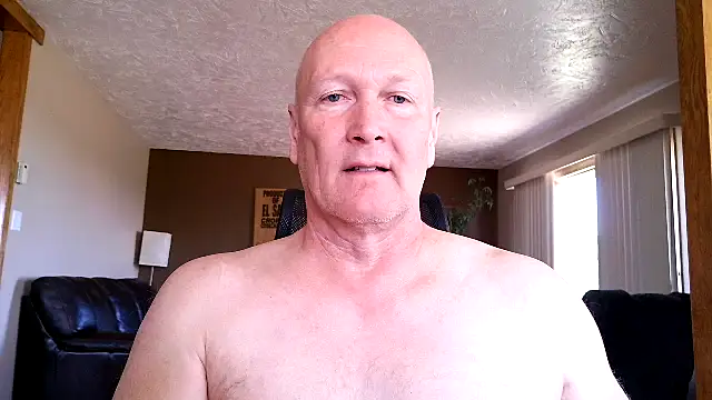 BasicAnt: διαδικτυακό σόου στην κάμερα