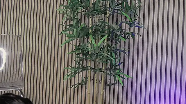 Chat XXX en directo de NattyMoonx