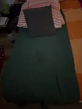 Jaropol Pertunjukan Webcam