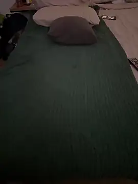 Show modela Jaropol na web-kameri