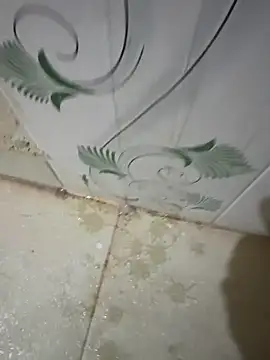 عرض كام dickmaster8782