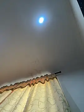 Chatroom XXX en direct de pawmistry