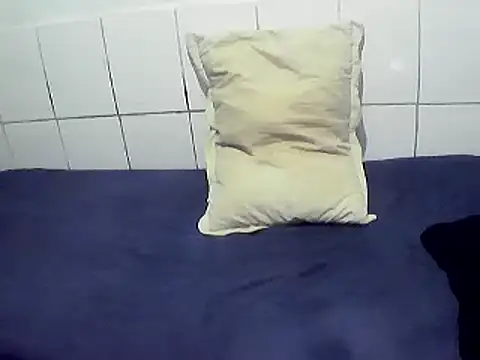 Show de webcam de pierdona