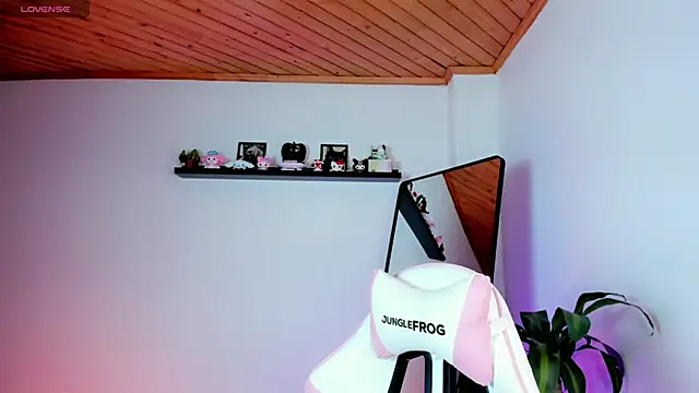 Show Webcam de kali_ka_