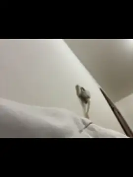 Živý XXX chat Czarnoksieznik