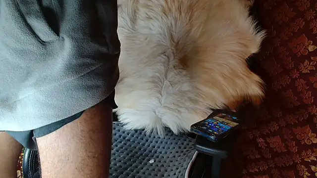 coacharabian – webcam-show