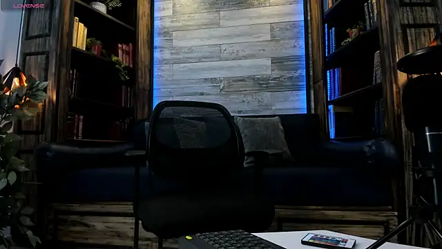 Donovan_Desmond – Kamerová šou