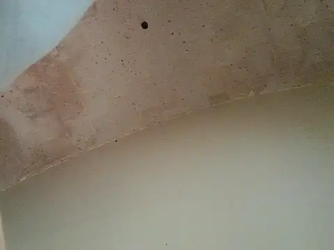 GinaLaFenix Webcamshow