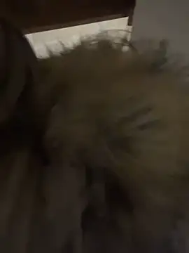 carlaaa – Naživo XXX chat