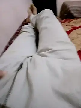 latarak321 – Kamerová šou