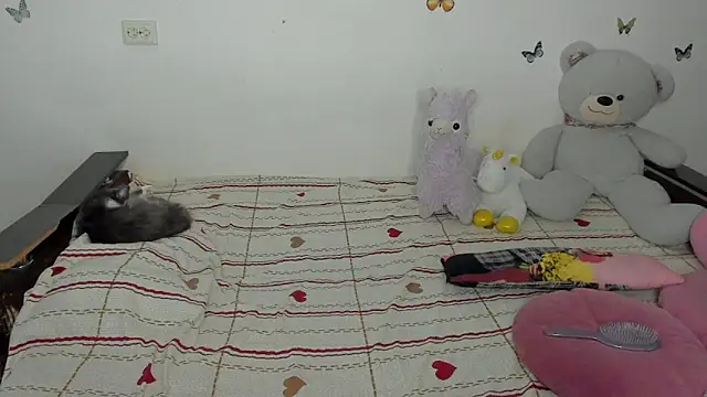 NataliEvans 라이브 XXX 채팅