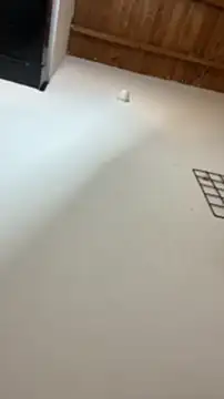 GiaValenti 라이브 XXX 채팅