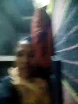 Loomaraj – webcam-show