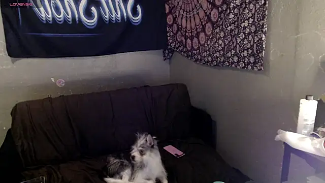 Chat XXX en directo de London_Ray