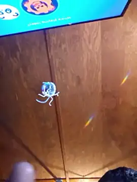 UncutHammer69: διαδικτυακό σόου στην κάμερα