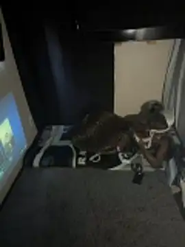 SideGhost Show in webcam