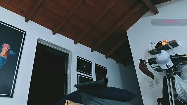 SilvaBranko Show Webcam