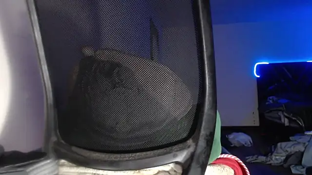 im_jack777のウェブカメラショー