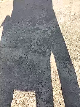 Pertunjukan Kamera Web Pitercom