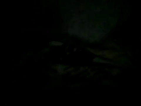 cabecaoegreluda: онлайн-секс-чат