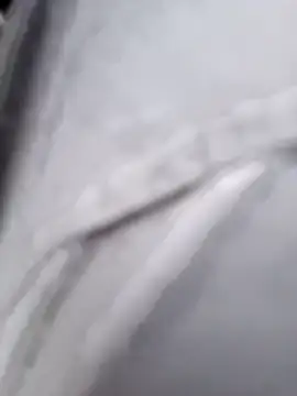 samo-zenee 웹캠 쇼