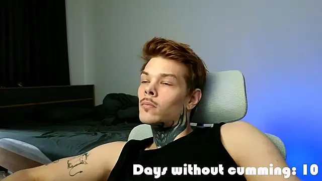 Show Webcam de DENIS_HERE