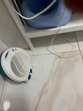 pino8787 Webcam show