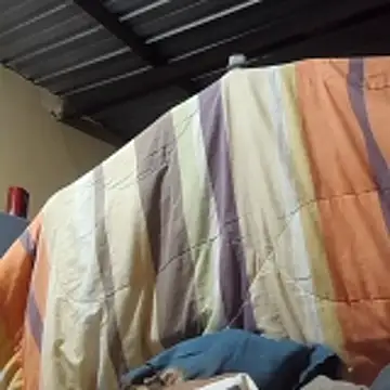 Chat +18 de Ortiz3404 ao vivo