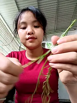 Chat XXX ao vivo de Pretty-haert