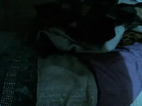 bravo23toro Show Webcam