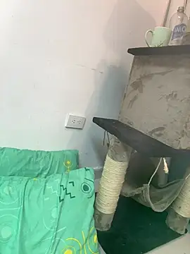 عرض كام Max_Rain