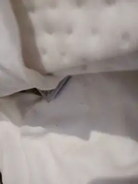 Curiosidade13 Webcam show