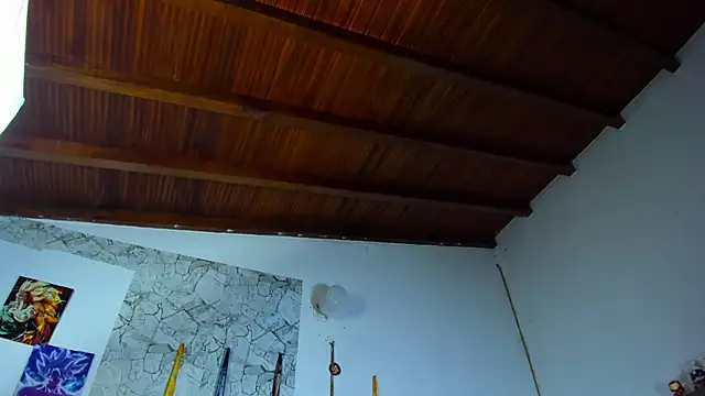 Drakexion21 网络视讯表演