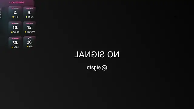 Dammon_Stallion Show Webcam