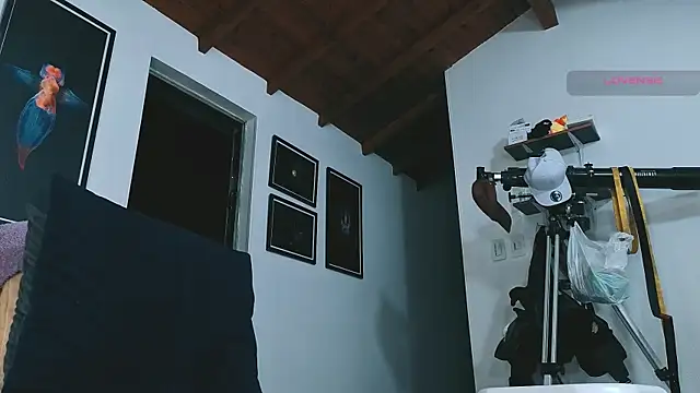 SilvaBranko 라이브 XXX 채팅