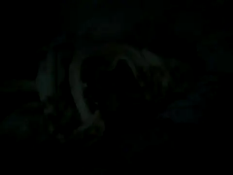 cabecaoegreluda Webcam Show