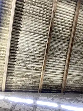 ale_sweet53n Live XXX chat