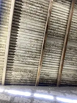 Chat XXX Live ale_sweet53