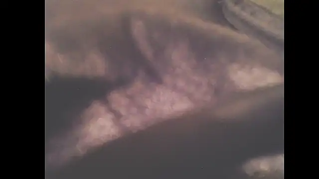 Czat XXX na żywo – Pamela_ruizz