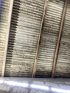 ale_sweet53 – Kamerová šou