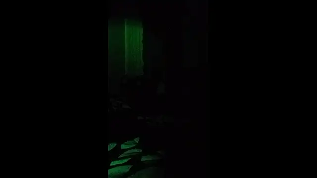 Webkamerová show _nnuw_york_17